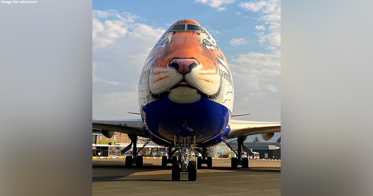 Tiger-faced customised jet reaches Namibia to bring cheetahs to India